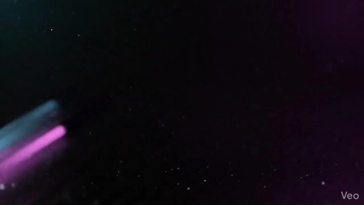 カーブアウト同期ダイヤランキング